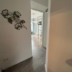 Full Panorama Budapest
